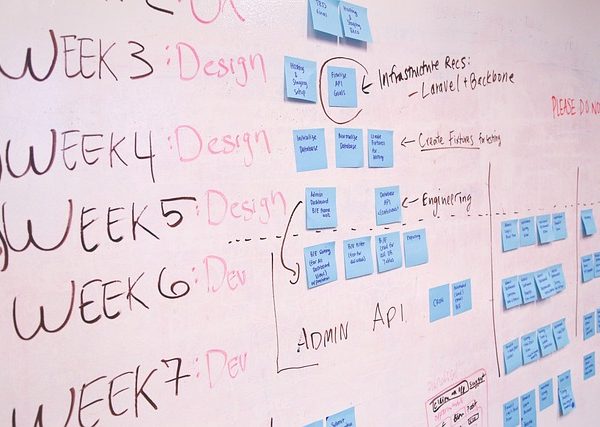 startup business